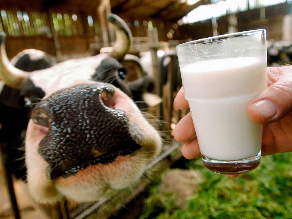 В Нижегородской области стали производить больше молока